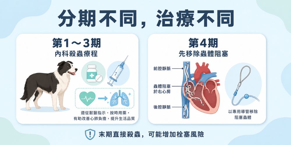 狗心絲蟲分期不同，是用的治療方式也不同