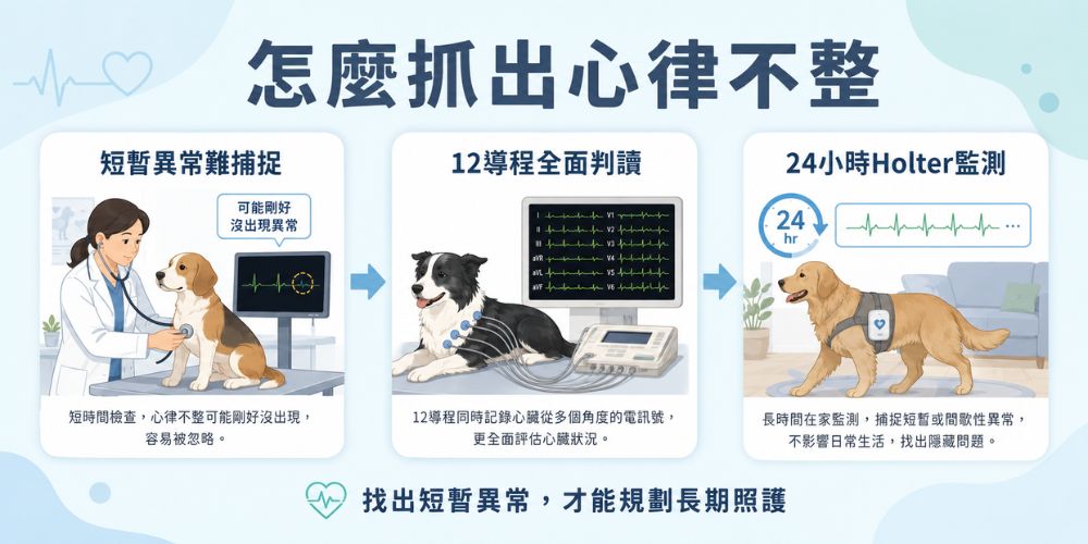 怎麼檢查狗狗心律不整