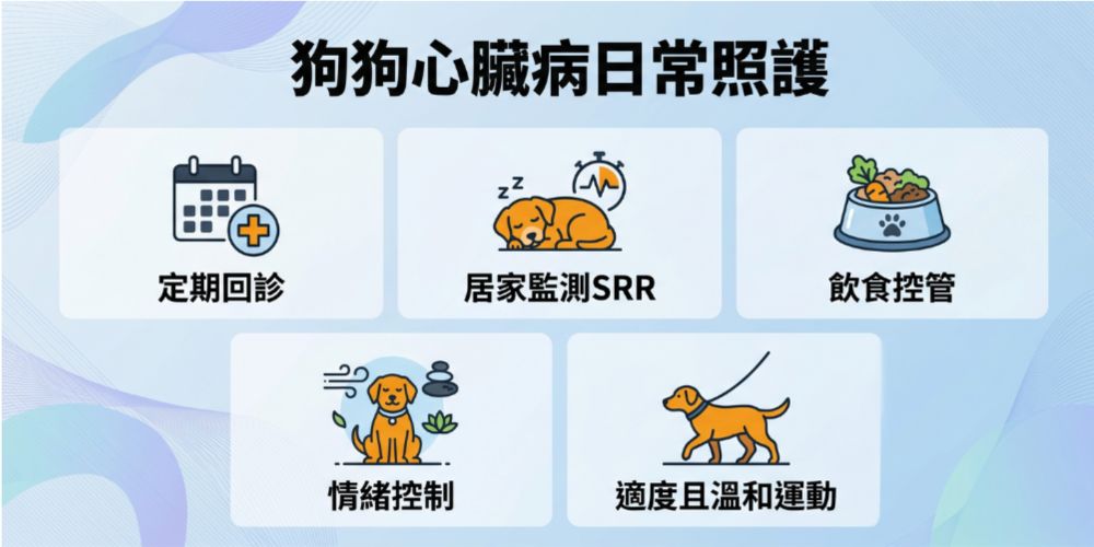 狗心臟病居家照護