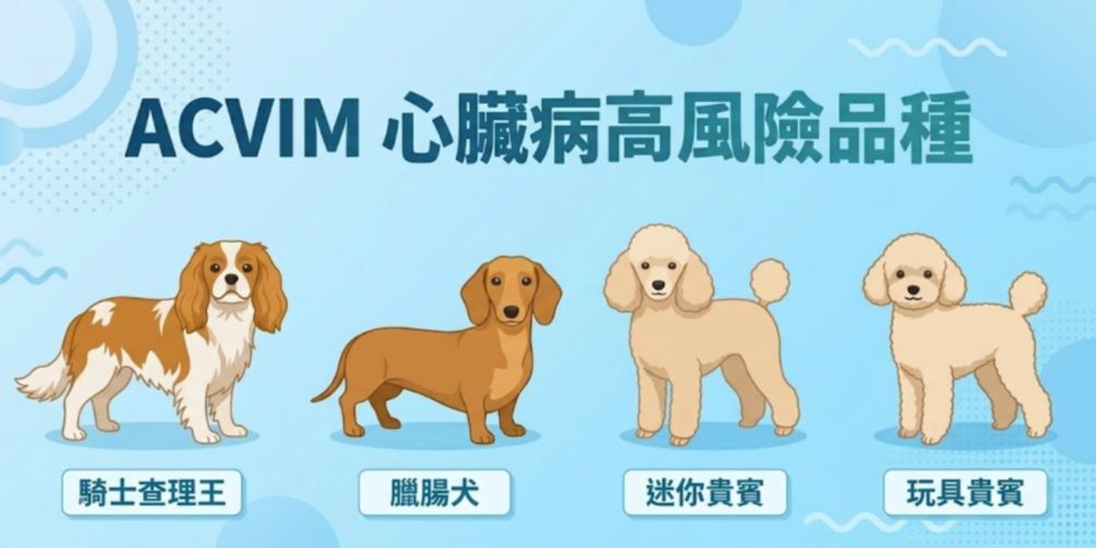 ACVIM狗心臟病高風險品種