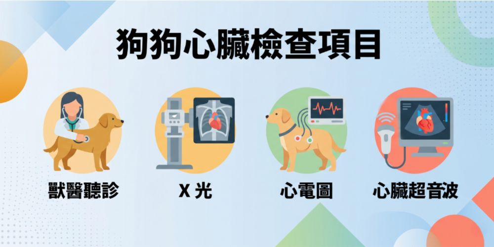 狗心臟病檢查項目
