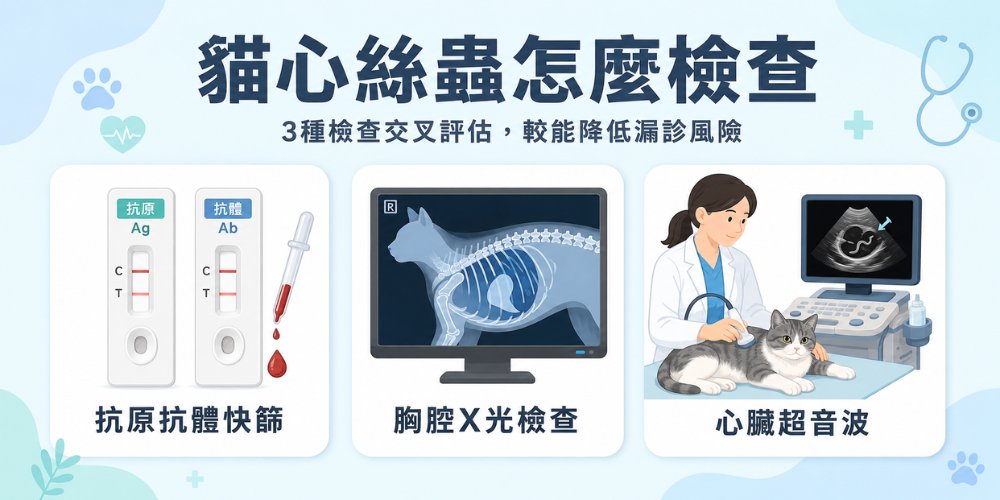 貓心絲蟲診斷方式